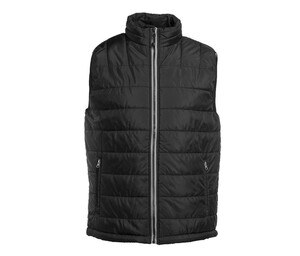 Negru/Argintiu