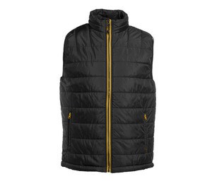 Negru/Auriu