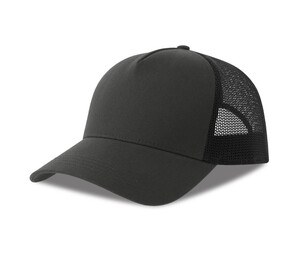Gri închis/Negru

